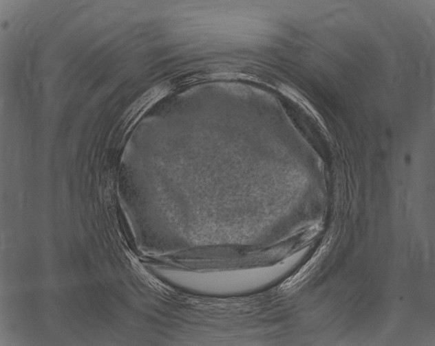 X0000062630801200601111058