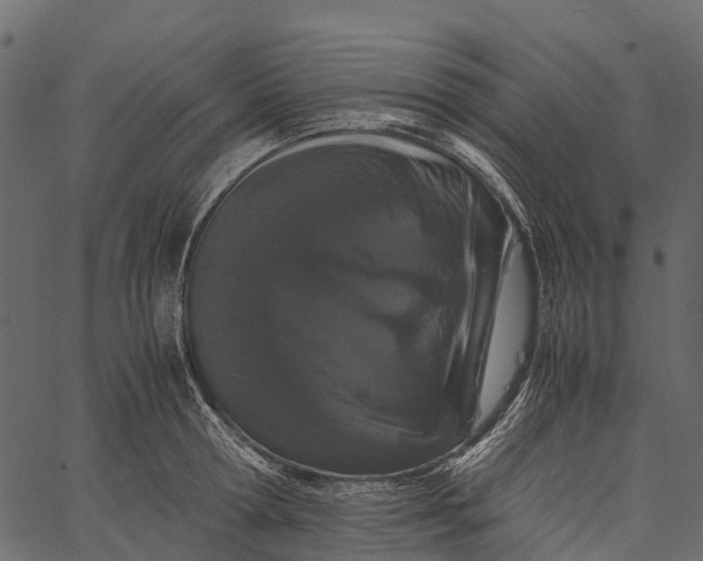 X0000062630802200601111058