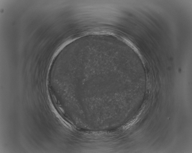 X0000062630803200601111058