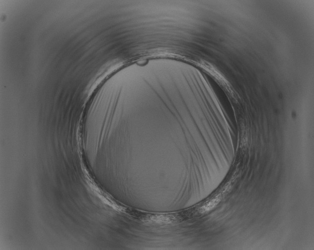 X0000062630806200601111058