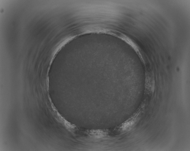 X0000062630807200601111058