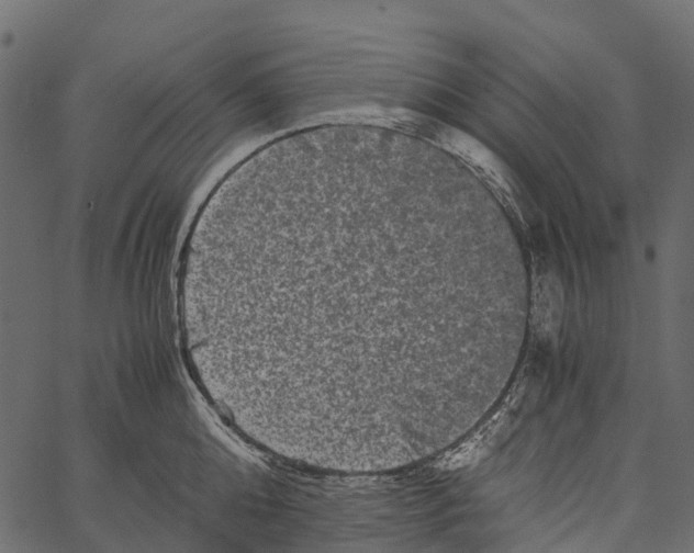 X0000062630808200601111058