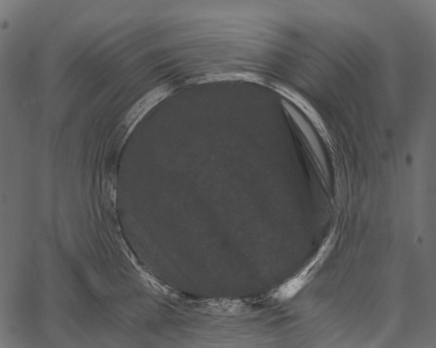 X0000062630809200601111058