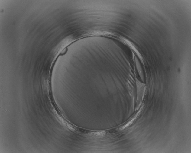 X0000062630810200601111058