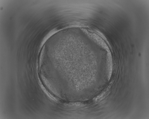 X0000062630811200601111058