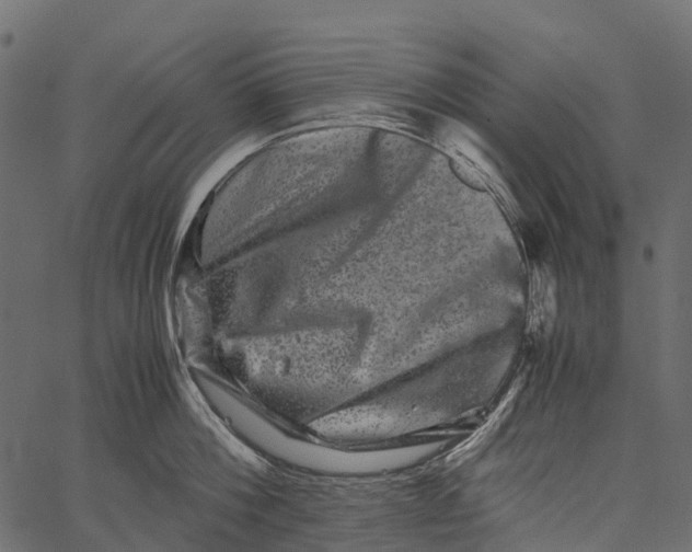 X0000062630812200601111058