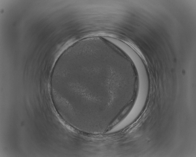 X0000062630813200601111058