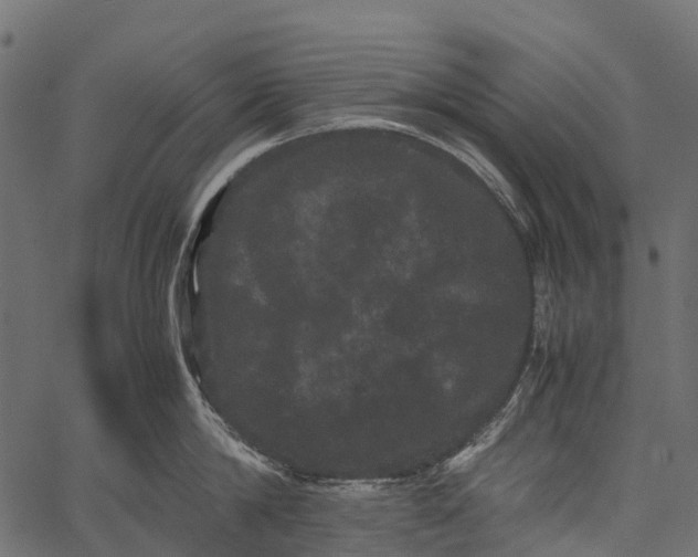 X0000062630814200601111058