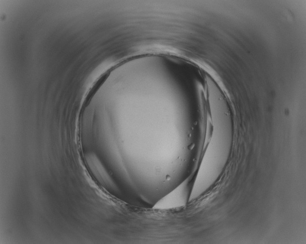 X0000062630815200601111058