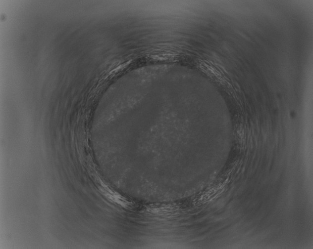 X0000062630817200601111057