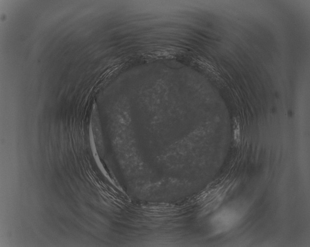 X0000062630819200601111057