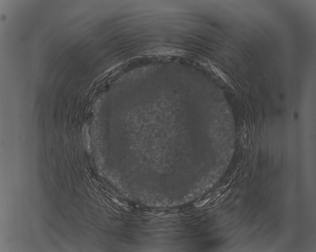 X0000062630821200601111057