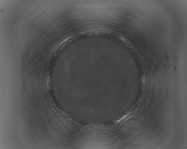 X0000062630822200601111057