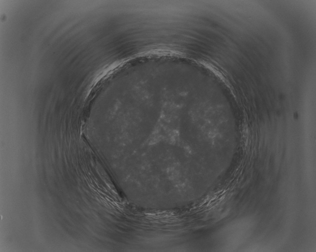 X0000062630823200601111057