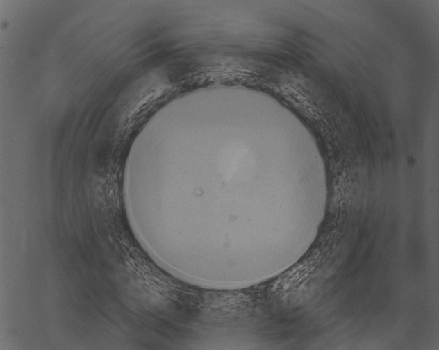 X0000062630824200601111058