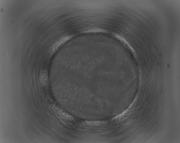 X0000062630825200601111058