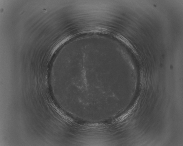 X0000062630826200601111058