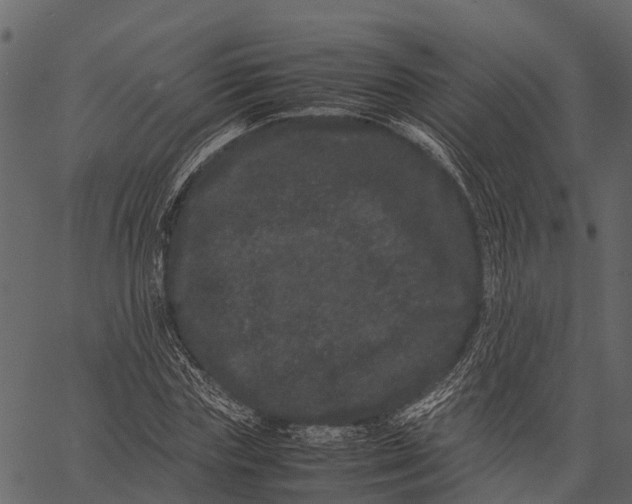 X0000062630827200601111058