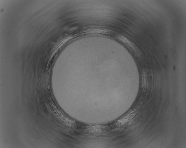 X0000062630828200601111058