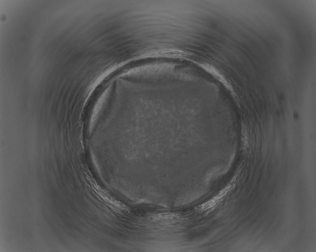 X0000062630830200601111058