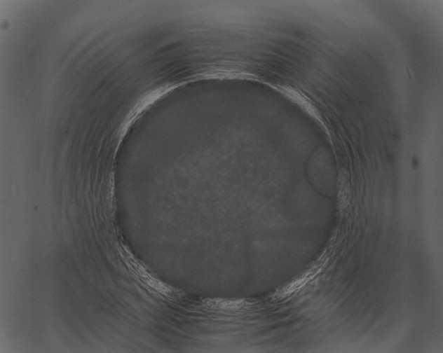 X0000062630831200601111058