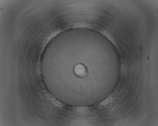 X0000062630832200601111058