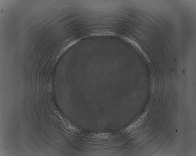 X0000062630833200601111058