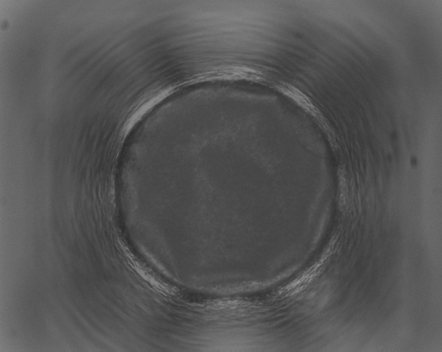 X0000062630834200601111058