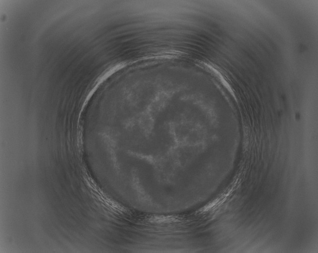 X0000062630835200601111058