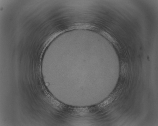 X0000062630836200601111058