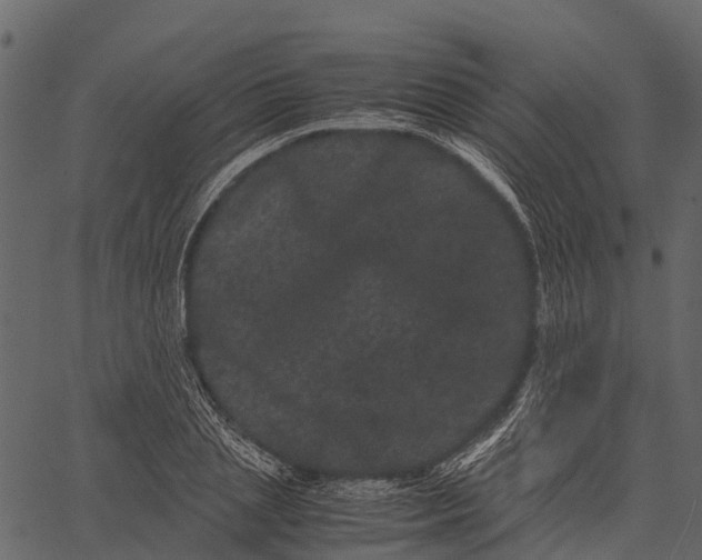 X0000062630837200601111058