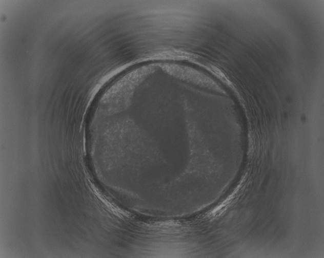 X0000062630838200601111058