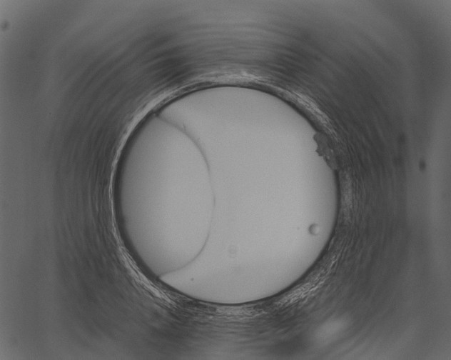 X0000062630840200601111058