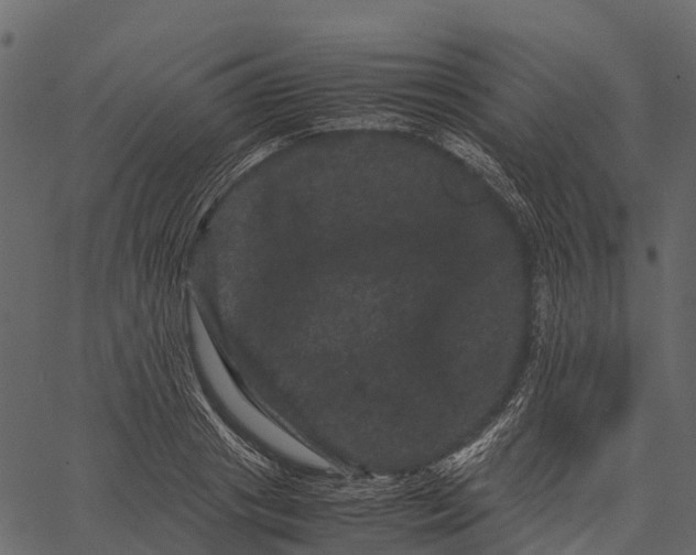 X0000062630841200601111058