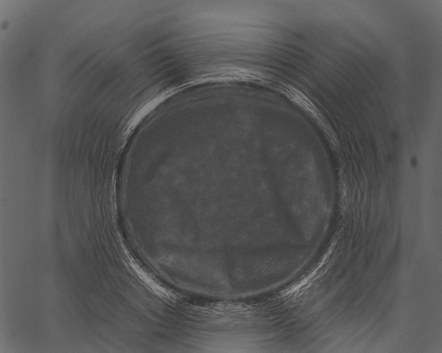 X0000062630842200601111058