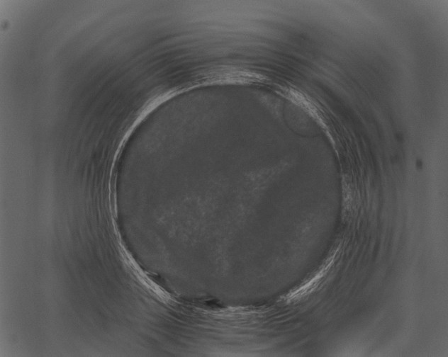 X0000062630843200601111058