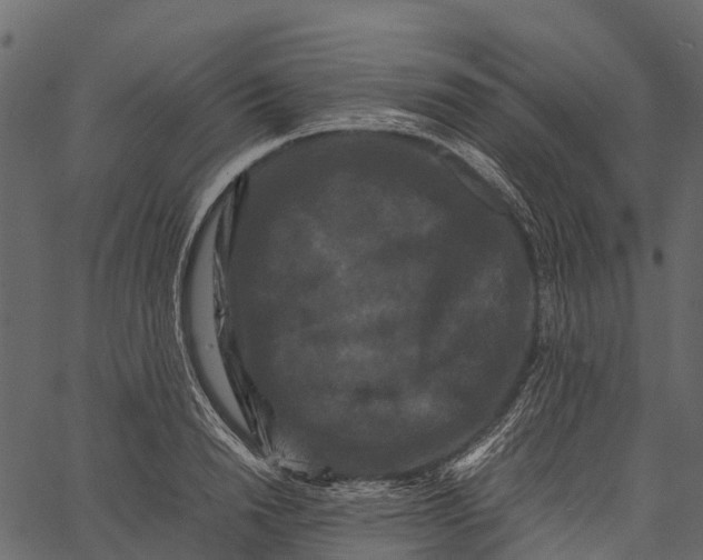 X0000062630846200601111058