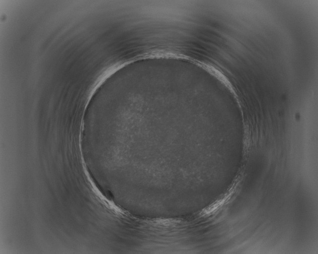 X0000062630847200601111058