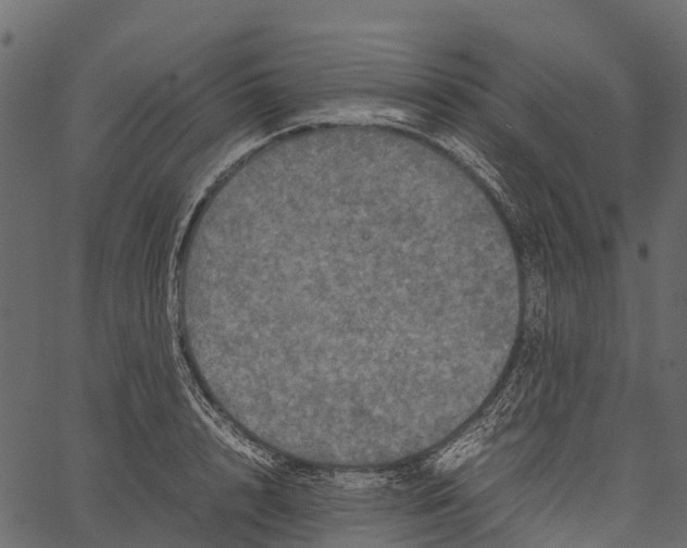 X0000062630848200601111058