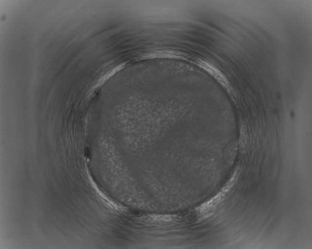 X0000062630849200601111058