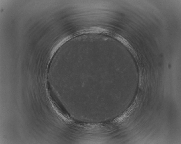 X0000062630850200601111058