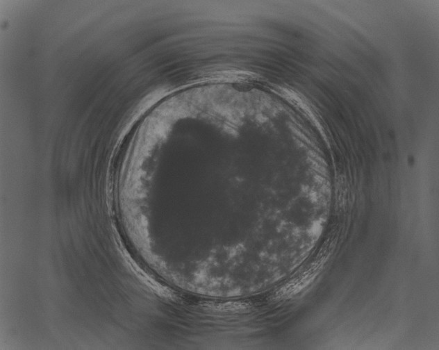 X0000062630851200601111058