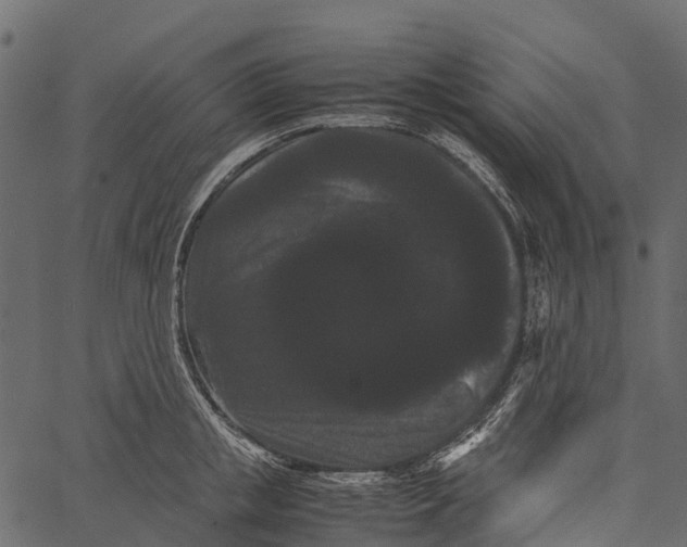 X0000062630853200601111058