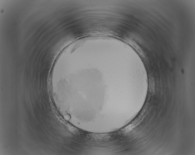 X0000062630856200601111058