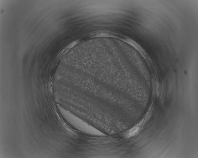 X0000062630857200601111058