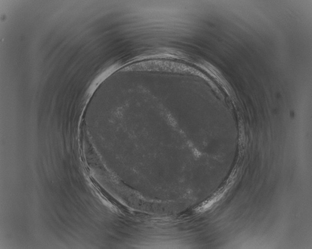 X0000062630858200601111058