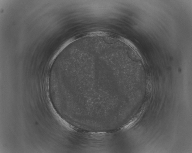 X0000062630859200601111058