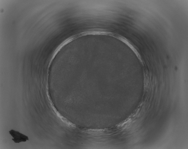 X0000062630861200601111058