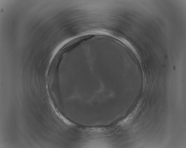 X0000062630862200601111058