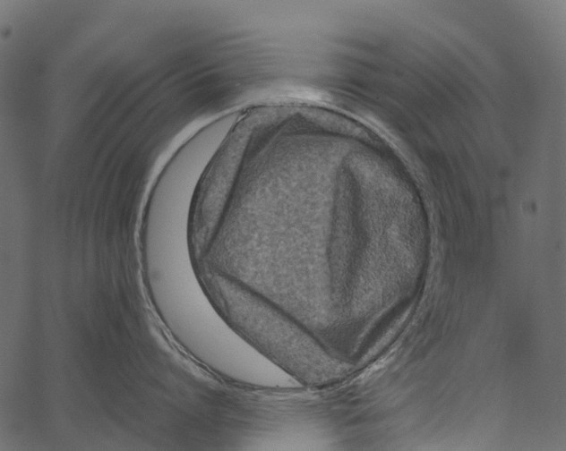 X0000062630864200601111058